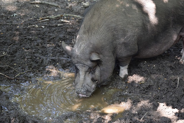 步发展提供 步发展提供