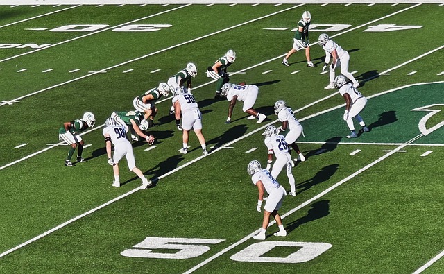 2022世界杯威爾士簡介.