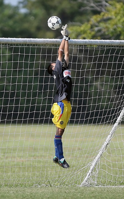 其实已经在 其实已经在