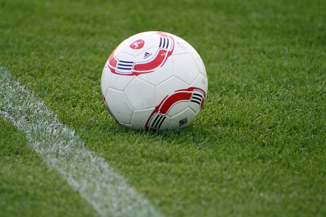 鹈鹕队可能 鹈鹕队可能